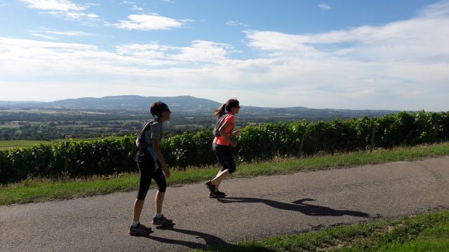 Trail des pierres dorées 2018, vue sur le Mont Verdun